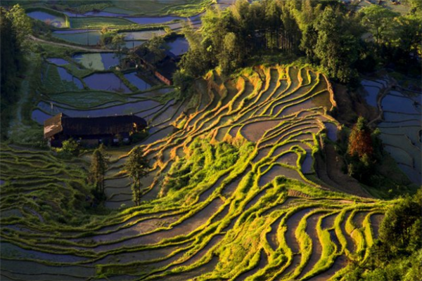 湖南好玩的地方排行榜：张家界上榜，第八有毛主席故居插图9
