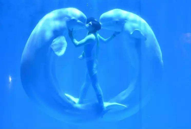 哈尔滨必游景点排名 7大旅景点，有你喜欢的吗插图2