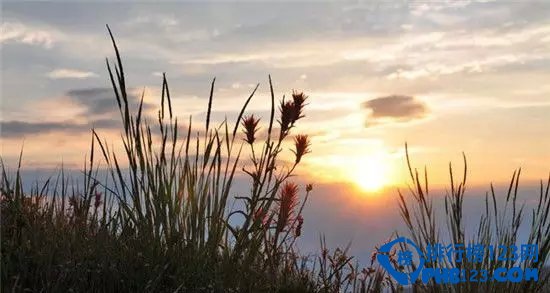 美国十大野花观赏地排行榜插图8