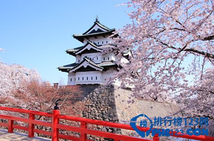 日本十大赏樱胜地排行榜插图3