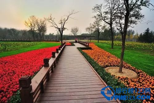 细数北京森林公园TOP10！看看你来过几个！插图