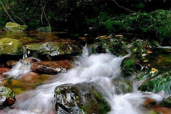 来宾最好玩的地方推荐 来宾好玩的地方排行榜插图4