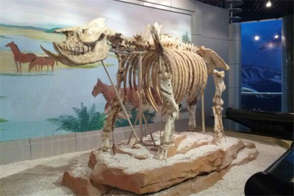 南京带孩子必去的地方 四个博物馆必到插图3