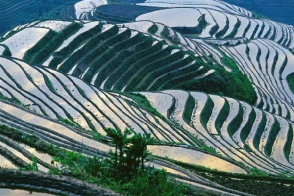 桂林十大人少好玩的景点：逍遥湖上榜，第二是水上乐园插图9