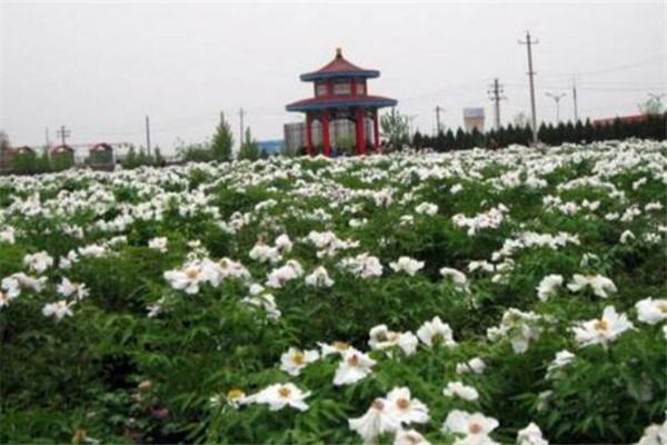 铜川最好玩的地方推荐 铜川好玩的地方排行榜插图9