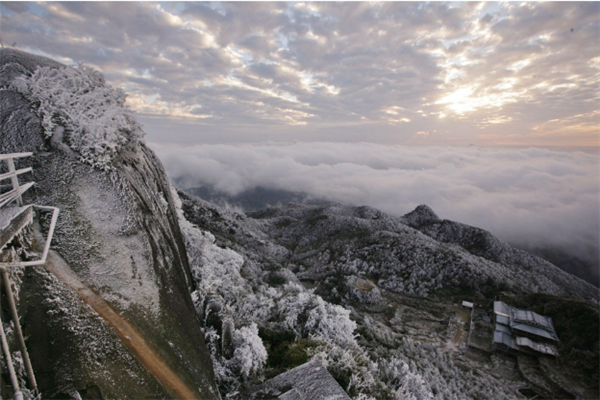福建十大冬季旅游好去处：武夷山上榜，它的梅花最盛插图6