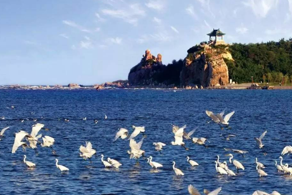 河北十大受欢迎的景点：鸽子窝公园上榜，它是杂技之乡插图6