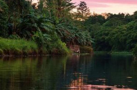 世界顶级海岛排名 马达加斯加岛第四,第一风景一绝插图2