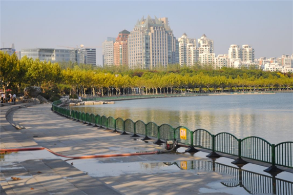 上海十大冬季旅游好去处：豫园上榜，它是动物的美丽家园插图2