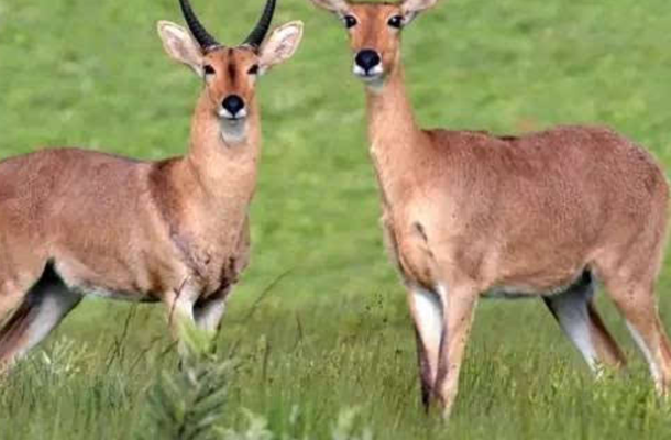 世界最值得去的国家排名：英国、瑞士、马尔代夫、埃及上榜插图7