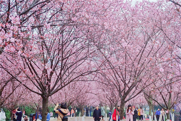 成都周边游最美景点推荐 都江堰历史底蕴深厚毕棚沟自然风光插图9