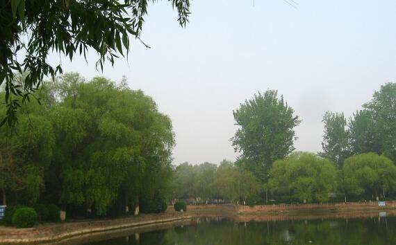 漯河好玩的地方排行榜 神州鸟园全国最大插图9