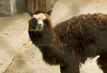 合肥十大网红景点：罍街上榜，它历史底蕴深厚|爱分享