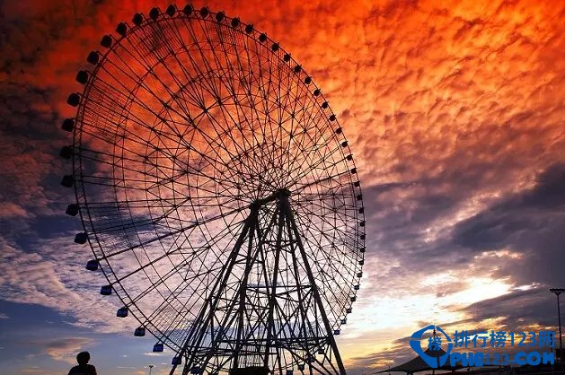 全球最美最虐狗摩天轮TOP9插图8