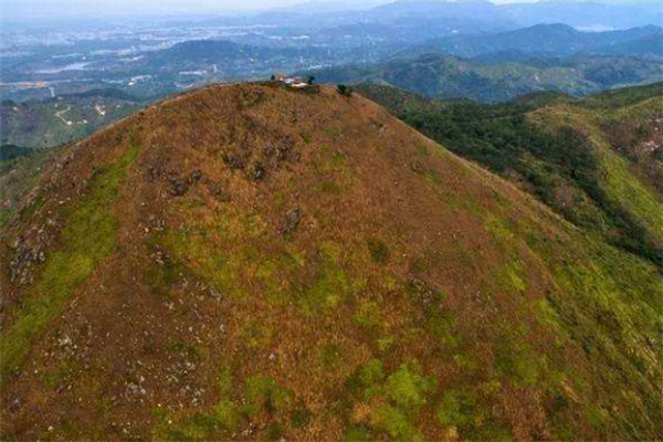 广东普宁十大最好玩的景点：南岩古寺上榜，第二漫山兰花插图1