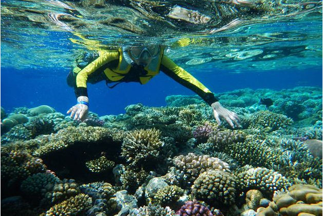 全球十大潜水地排行 带你进入全新的世界，你想要去吗插图8