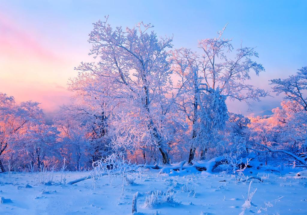 2020春节好玩又不贵的城市 中国春节文化之乡上榜插图5