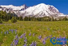 美国十大野花观赏地排行榜|爱分享