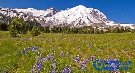美国十大野花观赏地排行榜插图