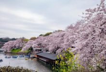 新乡好玩的地方排行榜 宝泉和八里沟都值得去|爱分享