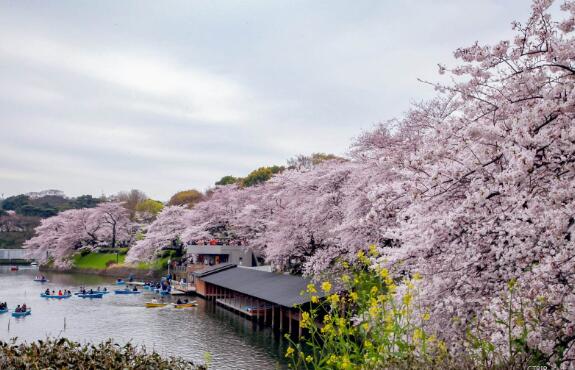 新乡好玩的地方排行榜 宝泉和八里沟都值得去插图9