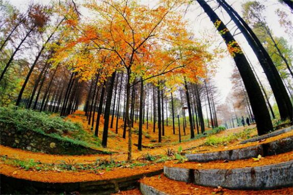 巢湖最好玩的地方推荐 巢湖好玩的地方排行榜插图5