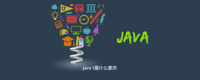 java t是什么意思插图