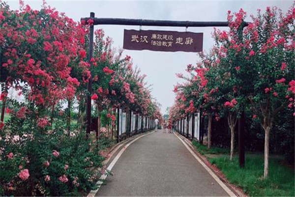 武汉十大风景名胜排名:木兰天池上榜，第三蒙古风情插图4