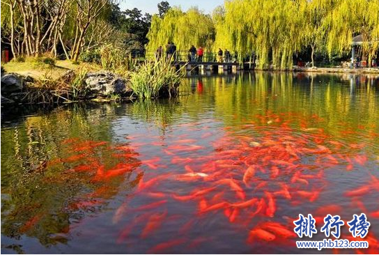 杭州必去！西湖十景排名,你知道西湖十景有那些吗？插图4