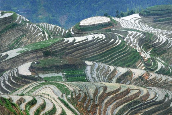 桂林十大风景区排行榜：马家坊十三幺花海上榜，遇龙河第一插图1