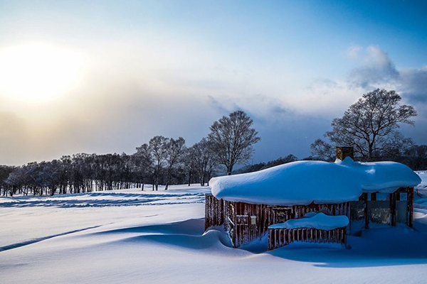 日本必去十大景点:盘点去日本旅游一定不能错过的地方插图1