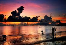 深圳抖音网红地点：带你体验城市的繁华也感受大自然的美好|爱分享