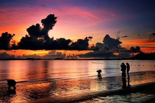 深圳抖音网红地点：带你体验城市的繁华也感受大自然的美好插图9