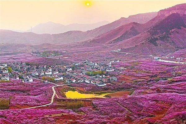 临沂十大风景区排行榜：黄山公园上榜，樱之崮田园第一插图