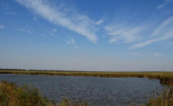 沧州好玩的地方排行榜 沧州十大好玩的地方推荐插图5