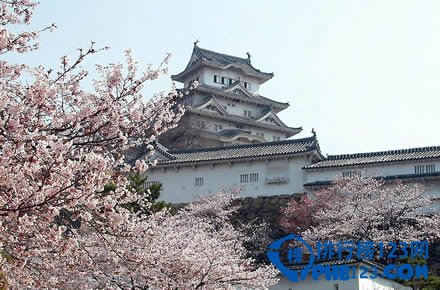 日本十大赏樱胜地排行榜插图5