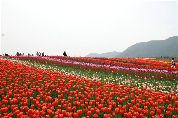 合肥十大风景名胜排行榜：姥山岛景区上榜，它的历史悠久插图4