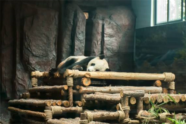 东莞十大最热门景点：虎门大桥上榜，第一是岭南文化的代表插图5