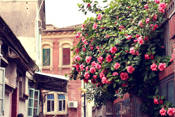 中国最火十大景区排名：一部电影带火了一个小众景区插图1