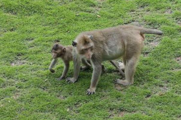 长沙市一日游必去的十大景点 世界之窗上榜，第五千万别错过插图9