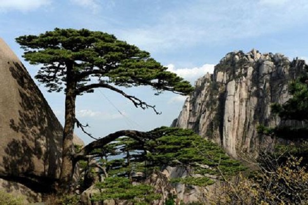 中国华东十大热门景区：杭州西湖第二，第五夜景超美插图2