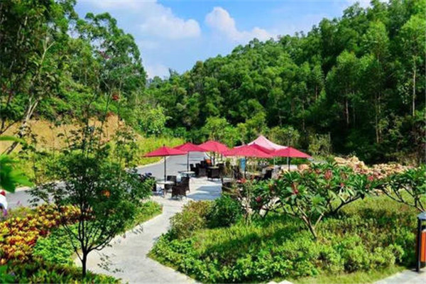 揭阳十大公园广场排名：普宁广场第3，第1夜景超美插图3