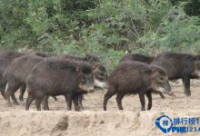 新出炉的世界十大自然保护区排行榜|爱分享