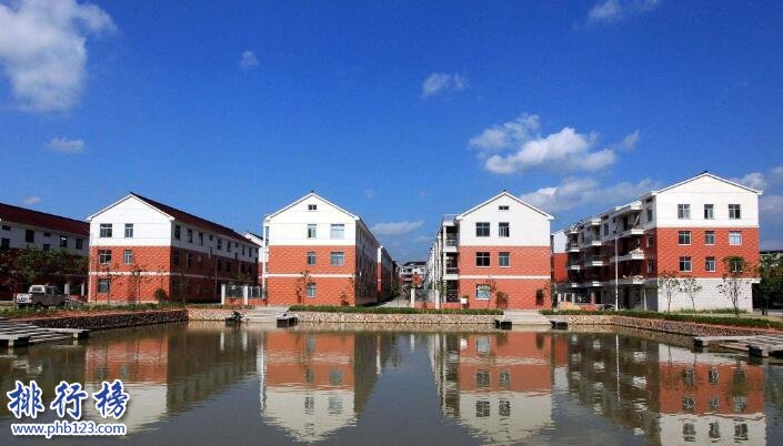 中国十大名村排名,第七名里有500多名千万富翁插图8