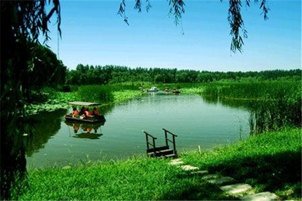 顺义旅游必去景点排行榜：唐指山风景区第3 第4采摘樱桃插图8