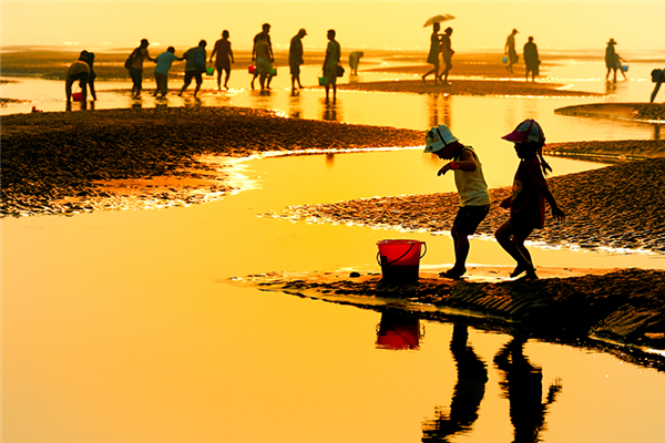 南通十大风景区排行榜：黄金海滩上榜，洋口风景区第五插图1