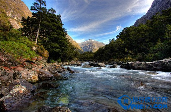十个最值得去的野生动植物国家公园排行榜插图