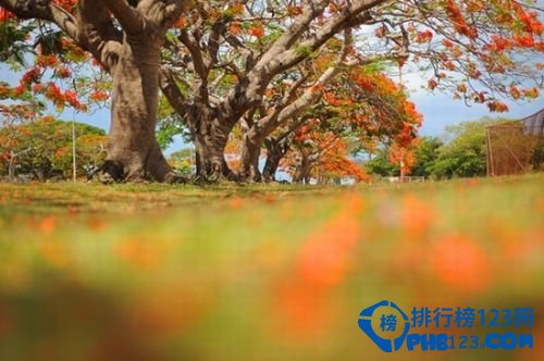 世界上十大最美岛屿插图7