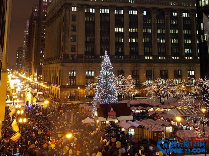 全球最美的十四大圣诞树排行榜插图3