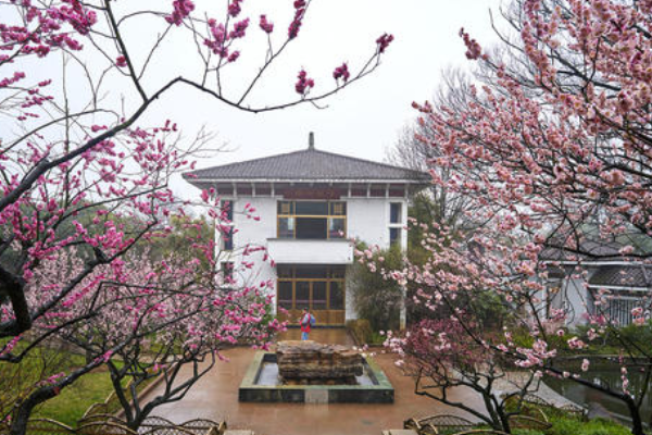 江苏十大冬季旅游好去处 苏州园林稳居第一，三台山上榜插图2